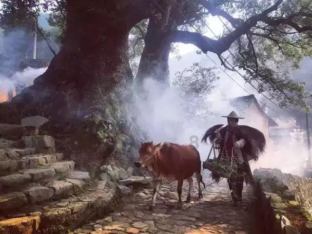 爬山旅游时,有什么降温驱蚊的办法?-全面解答你的问题
